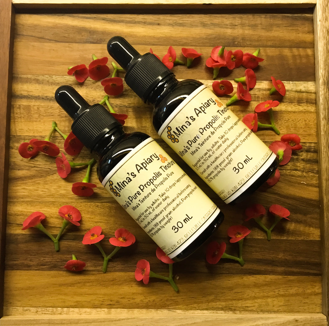 Mina's Propolis Tincture - Two Dropper Bottle Bundle